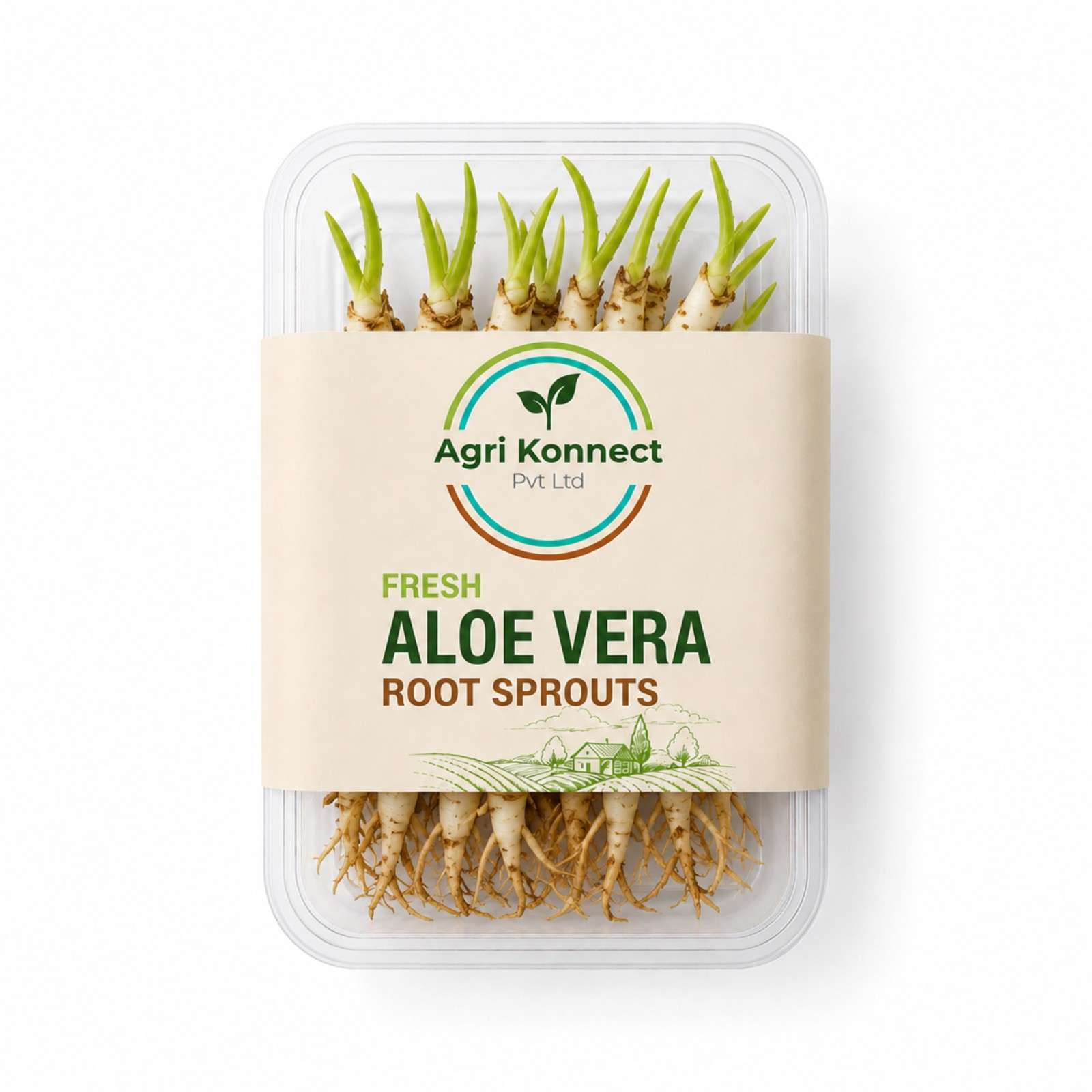 Fresh Aloe Vera Root Sprouts – 500g