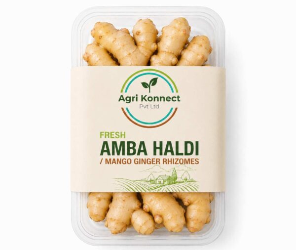 Fresh Amba Haldi (Mango Ginger) – 200g