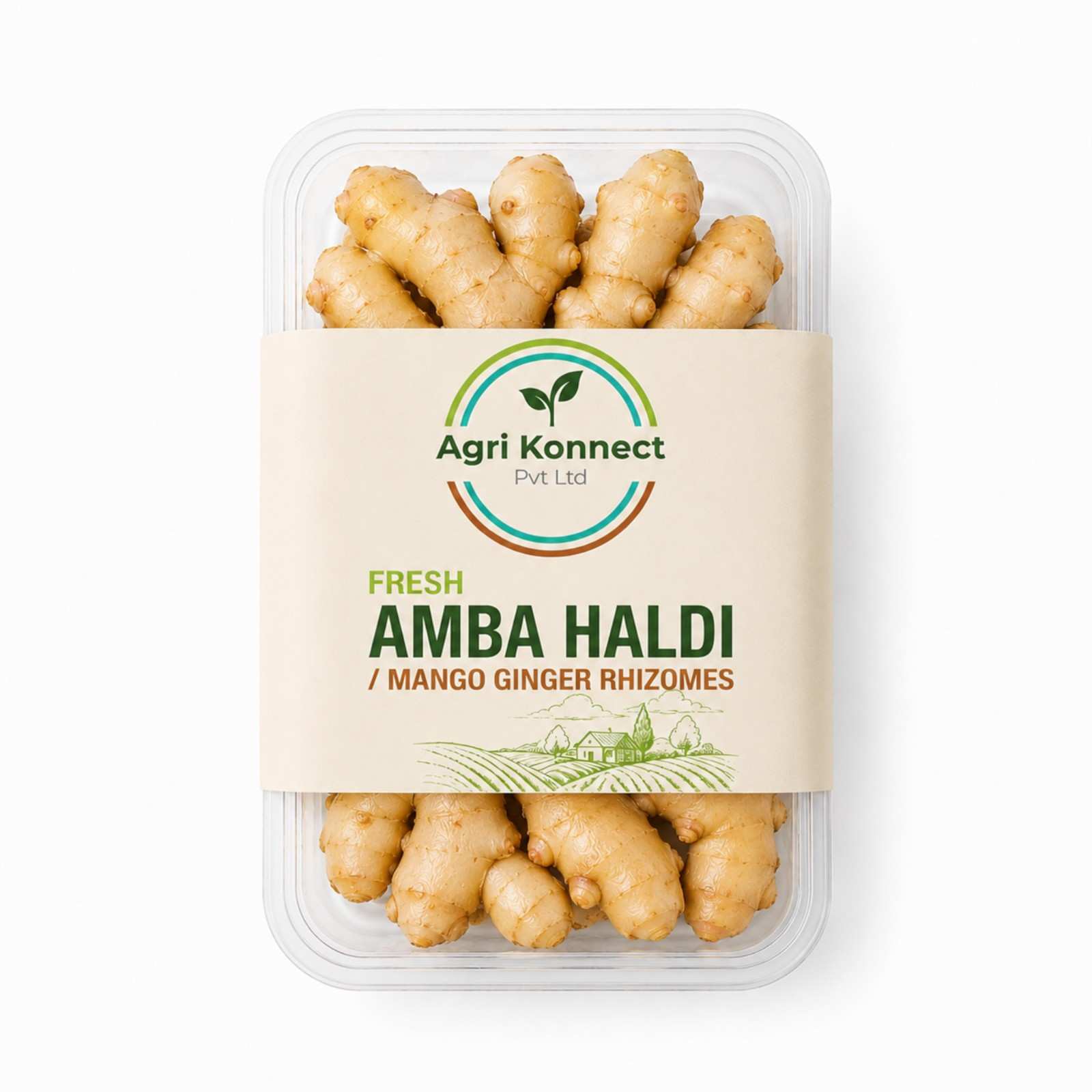 Agri Konnect supplies Fresh Amba Haldi, also known as Mango Ginger, carefully sourced and packed to preserve its natural quality. Widely used in herbal, cosmetic, and botanical industries, this premium raw material is suitable for manufacturers, processors, and wholesalers looking for reliable agricultural products.