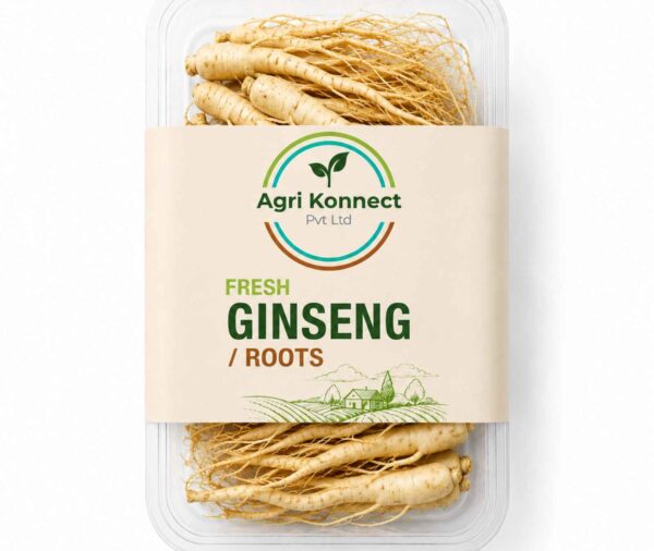 Fresh Ginseng Roots – 200g