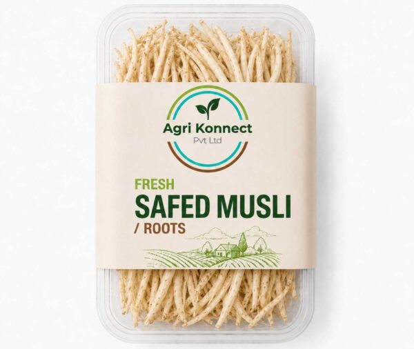 Fresh Safed Musli Roots – 250g