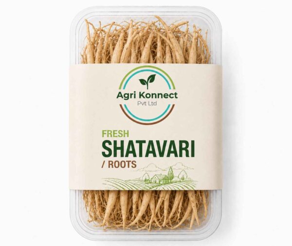 Fresh Shatavari Roots – 350g