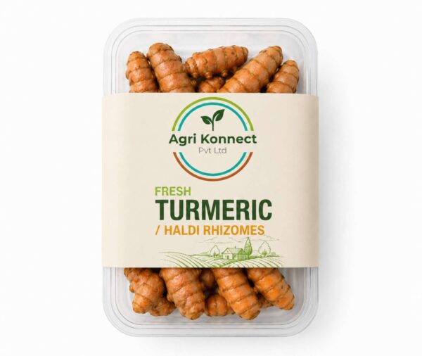 Fresh Turmeric (Haldi) – 1kg